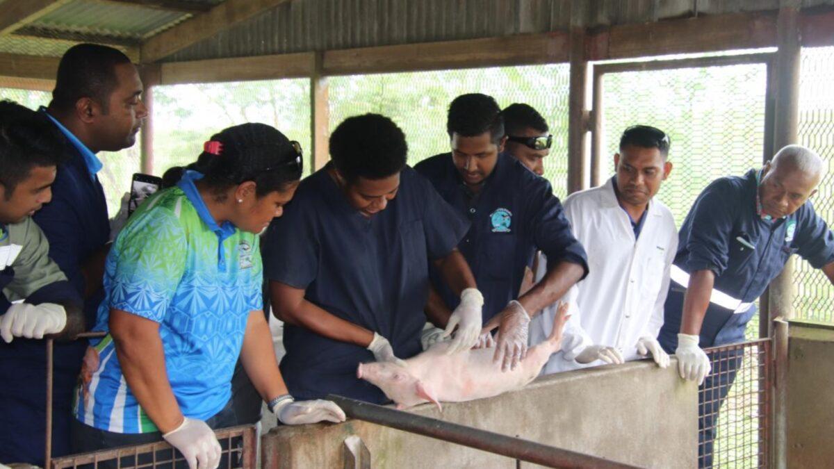 New Zealand and SPC sign agreement to strengthen animal health in the region