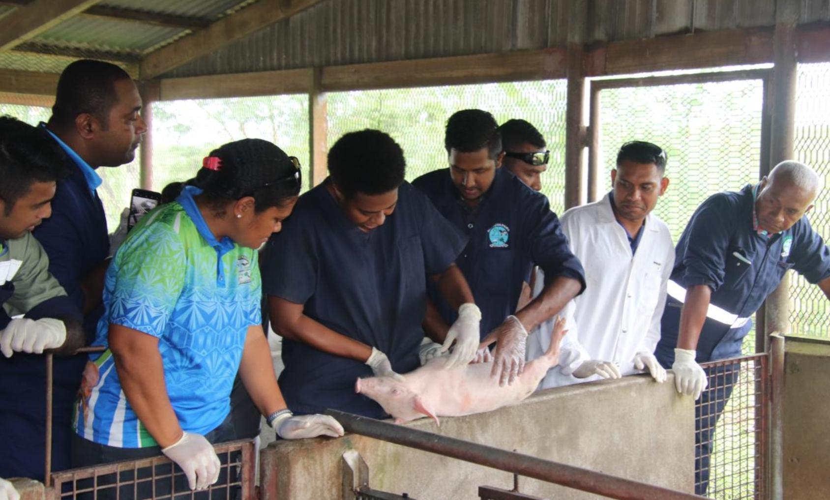 New Zealand and SPC sign agreement to strengthen animal health in the region