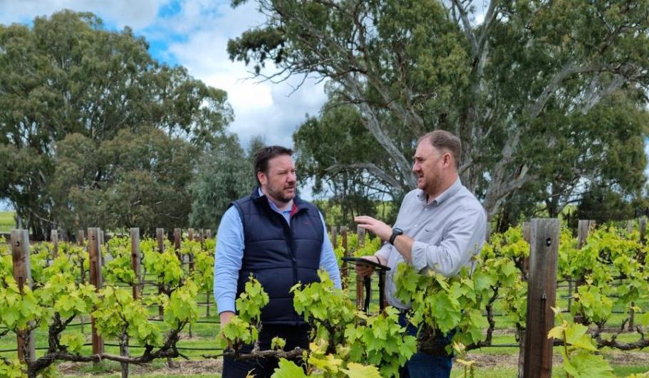 Deep Planet introduces VineSignal technology to South Australian wineries