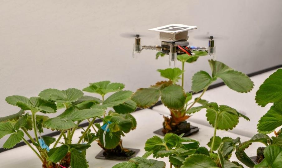 robotizing the artificial pollination method