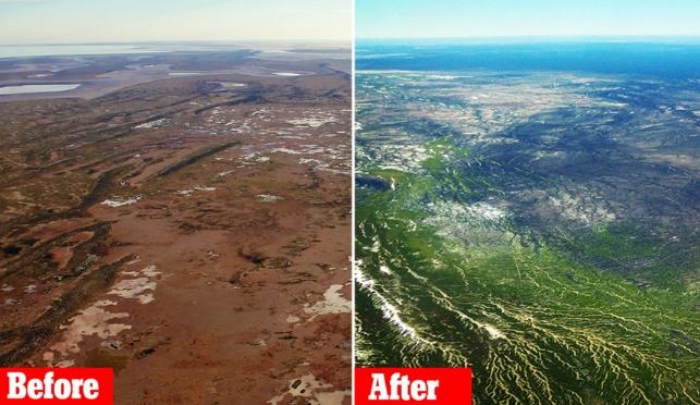 Tirari Desert in South Australia before and after rain